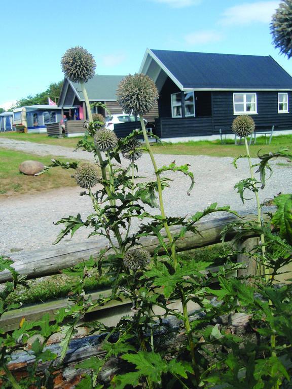 Toftum Bjerge Camping & Cottages Humlum 客房 照片